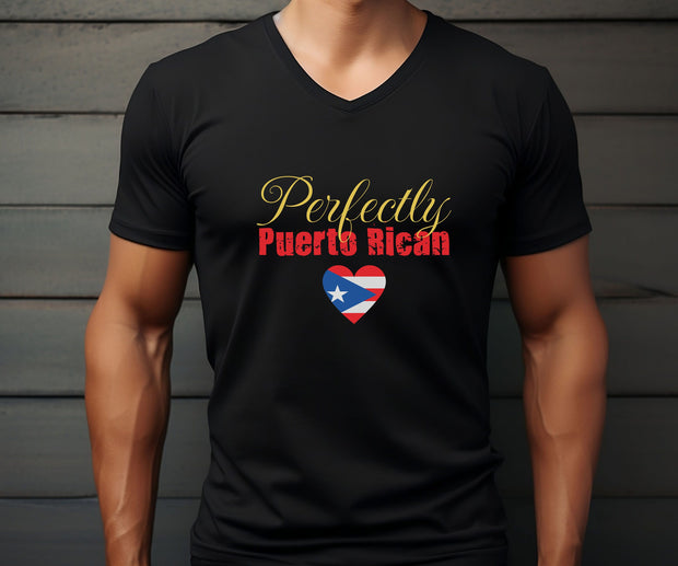 Puerto Rican Pride V-Neck Tee, Boyfriend Gift  TShirt, Ethnic Pride Unisex Fun Gift T-Shirt. Proud Mens TShirt Girlfriend Birthday Gift Top