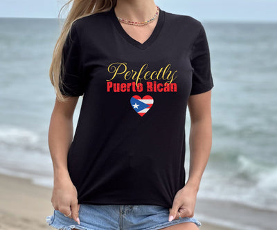 Puerto Rican Pride V-Neck Tee, Boyfriend Gift  TShirt, Ethnic Pride Unisex Fun Gift T-Shirt. Proud Mens TShirt Girlfriend Birthday Gift Top